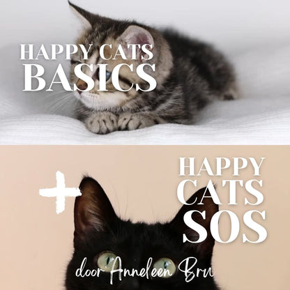 Happy Cats Basics: Inleiding tot kattengedrag