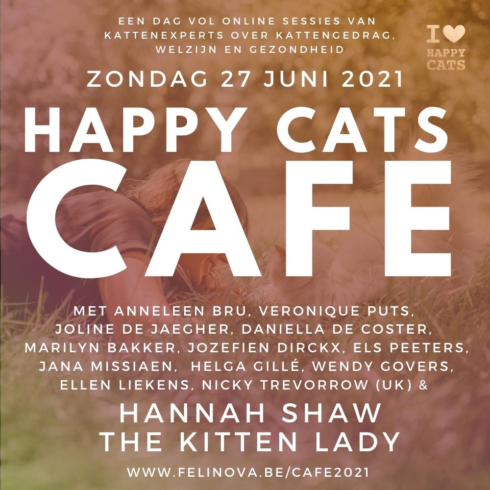 Happy Cats Café 2e ed. (27 juni 2021)