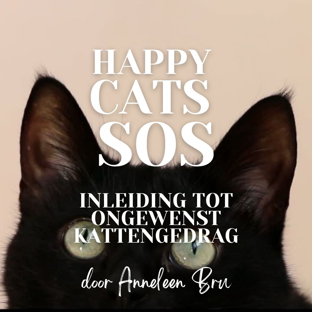 Happy Cats SOS: Inleiding tot ongewenst kattengedrag