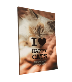 Happy Cats Minigids