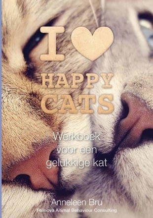 Happy Cats Werkboek