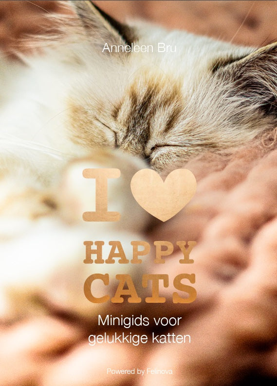 Happy Cats Minigids